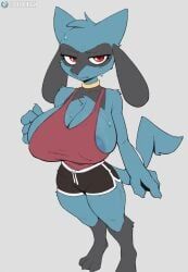 generation_4_pokemon, pokemon_(species), riolu, nintendo, pokemon