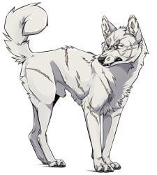 animal_genitalia, annoyed, arm_scar, attached_sheath, back_scar