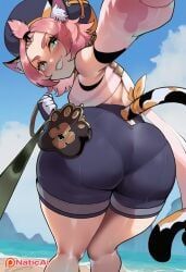 diona_(genshin_impact), genshin_impact, naticai, 1girls, cat_ears