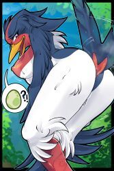 flap, pokemon_(species), pokémon_(species), swellow, nintendo