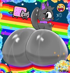 epic_face, nyan_cat, nyan, og, zeraniumz