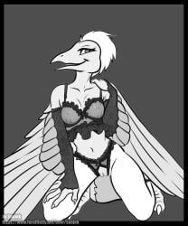 teryx_(dinosaucers), dinosaucers, snejek, black_and_white, clothing