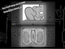 fuzz_the_cat, nintendo, nintendo_dsi, the_june_archive_and_restoration_project, voreber