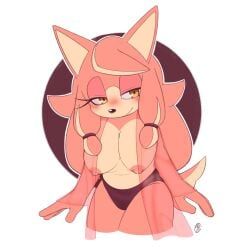 conductor's_wife_(sonic), sonic_(series), sonic_the_hedgehog_(series), innotsu, almost_naked