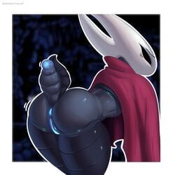 hornet_(hollow_knight), hollow_knight, team_cherry, argonautical, 1girls