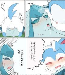 eeveelution, generation_4_pokemon, generation_6_pokemon, glaceon, pokemon_(species)