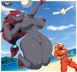 blaziken, pokemon_(species), zoroark, pokemon, knightmoonlight98