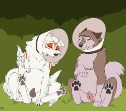 aleu_(balto), amaterasu, amaterasu_(okami), balto_(series), capcom