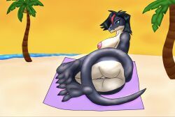 snavl, barely_visible_genitalia, barely_visible_vulva, beach_towel, bionics