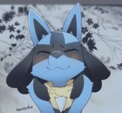 generation_4_pokemon, lucario, pokemon_(species), nintendo, pokemon