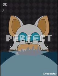 rouge_the_bat, sonic_the_hedgehog, beat_banger, sonic_(series), sonic_the_hedgehog_(series)