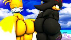 miles_prower, shadow_the_hedgehog, sega, sonic_(series), sonic_the_hedgehog_(series)