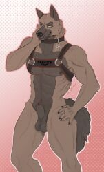 animal_genitalia, animal_penis, anthro, balls, brown_body