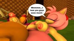amy_rose, rouge_the_bat, wave_the_swallow, sega, sonic_(series)