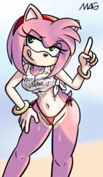 amy_rose, sonic_(series), mag, beach, bikini_strings