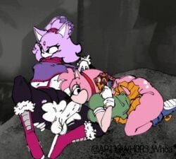 amy_rose, blaze_the_cat, blaze_the_cat_(om), classic_amy_rose, creepypasta
