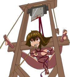 akiraruar, guillotine, guillotine_(face_up), guillotine_(rope_peril), torture