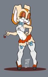 cream_the_rabbit, sonic_(series), wayesh, aged_up, female