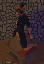 anthro, bdsm, bound, canid, canine