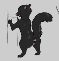 stella_(over_the_hedge), dreamworks, dreamworks_animation, over_the_hedge, paramount_pictures
