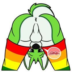 fidget_the_fox, telegram, supersonicsoup, anthro, anus