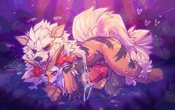 arcanine, braixen, pokemon_(species), nintendo, pokemon