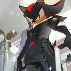 shadow_the_hedgehog, sonic_(series), sonic_the_hedgehog_(series), pinklilim, 1boy