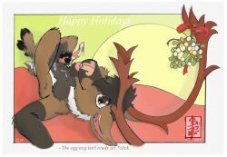 fennec_(artist), animal_genitalia, anthro, aroused, balls