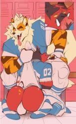arcanine, generation_1_pokemon, generation_7_pokemon, incineroar, pokemon_(species)