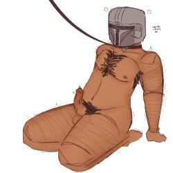din_djarin, star_wars, the_mandalorian, dick, leash