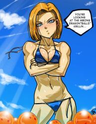 android_18, dragon_ball, dragon_ball_z, ganassa, 1girls