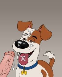 max_(the_secret_life_of_pets), illumination_entertainment, the_secret_life_of_pets, universal_pictures, universal_studios