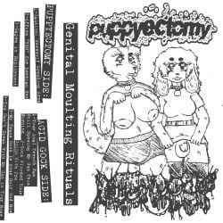 band_logo, anthro, areola, balls, big_breasts