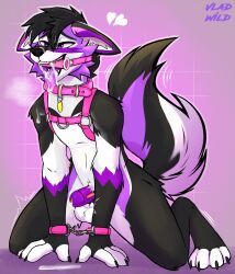 violetfox_(oliver4622), animal_humanoid, anthro, balls, bodily_fluids