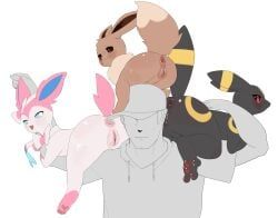 eevee, eeveelution, generation_1_pokemon, generation_2_pokemon, generation_6_pokemon