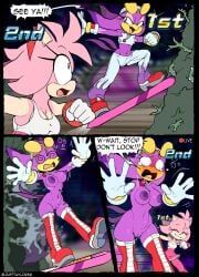amy_rose, wave_the_swallow, sega, sonic_riders, sonic_the_hedgehog_(series)