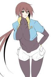 aile, mega_man, mega_man_zx_advent, tgxx3300, female
