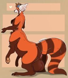 birdrabbit, ailurid, ailurid_taur, anus, ass