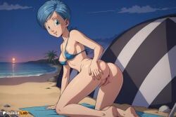 bulma, bulma_(dragon_ball), dragon_ball, dragon_ball_super, dragon_ball_z