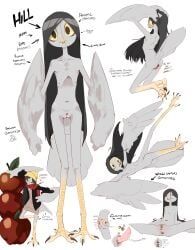 hill_(chalk_outline), 4_toes, anatomical_diagram, anatomy, animal_genitalia