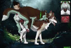 sheppermint, truegrave9, animal_genitalia, animal_penis, animal_vulva