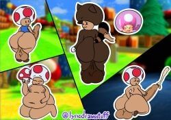 paper_toad, paper_toadette, super_mushroom, toad_(mario), toadette