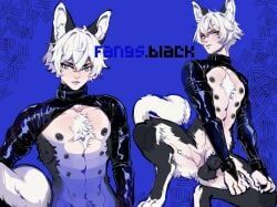 jinmenken, animal_genitalia, animal_genitalia_on_humanoid, animal_humanoid, armwear