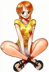 nami_(one_piece), one_piece, 1girls, arm_tattoo, arms_between_legs