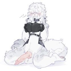molokoo17, accessory, animal_genitalia, animal_penis, anthro