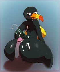 lupe_toucan, cartoon_network, my_gym_partner's_a_monkey, miso_souperstar, anthro