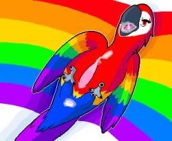 hrelterskrelter, anatomically_inaccurate, animal, avian, bestiality