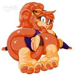 fan_character, oc, original_character, shelly, sonic_oc