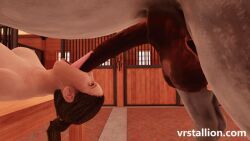 original_character, original, vrstallion, 1animal, animal_genitalia