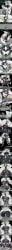 the_nova_(zeblackballd), ze_blackball.d, zeblackballd_(artist), 1boy, 1girls